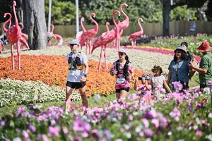 BIB: 
                            <button type="button" onclick="openModal(27794101)" class="btn btn-primary btn-sm float-right btn-popup" data-toggle="modal" data-target=".modal-high-quality">
                        <i class="fas fa-shopping-cart"></i> Add to Cart
                    </button>
                                            <button type="button" onclick="isThisMe(27794101, true)" class="btn btn-success btn-sm float-right btn-popup btn-isme hidden" data-toggle="tooltip" data-placement="bottom" title="นี่คือรูปของคุณใช่ไหม คลิกที่นี่เพื่อเอาเข้าอัลบั้ม">
                        <i class="fas fa-plus"></i> Add to album
                    </button>
                    <button type="button" onclick="isThisMe(27794101, false)" class="btn btn-warning btn-sm float-right btn-popup btn-isnotme hidden">
                        <i class="fas fa-ban"></i> Remove from album
                    </button>